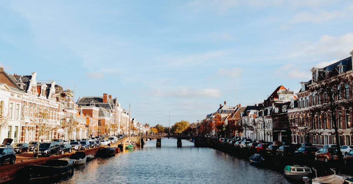 A Beginner's Guide to Dutch Language Apps Available in Haarlem