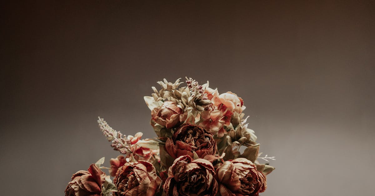 Benefits of Interactive Online Dutch Classes in Haarlem