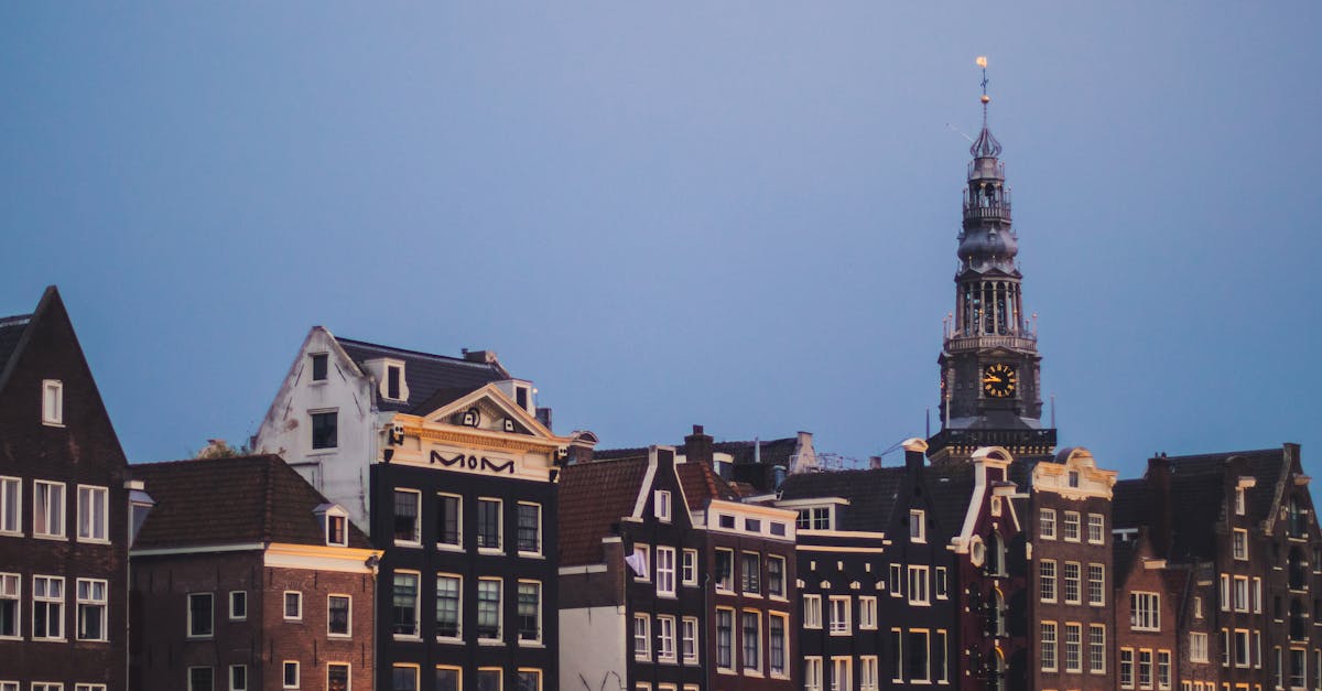 Building Confidence Through Conversational Exchanges in Haarlem