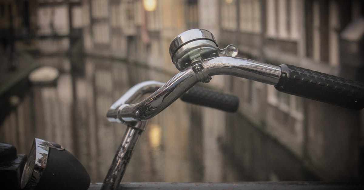 Building Your Dutch Vocabulary Through Local Culture