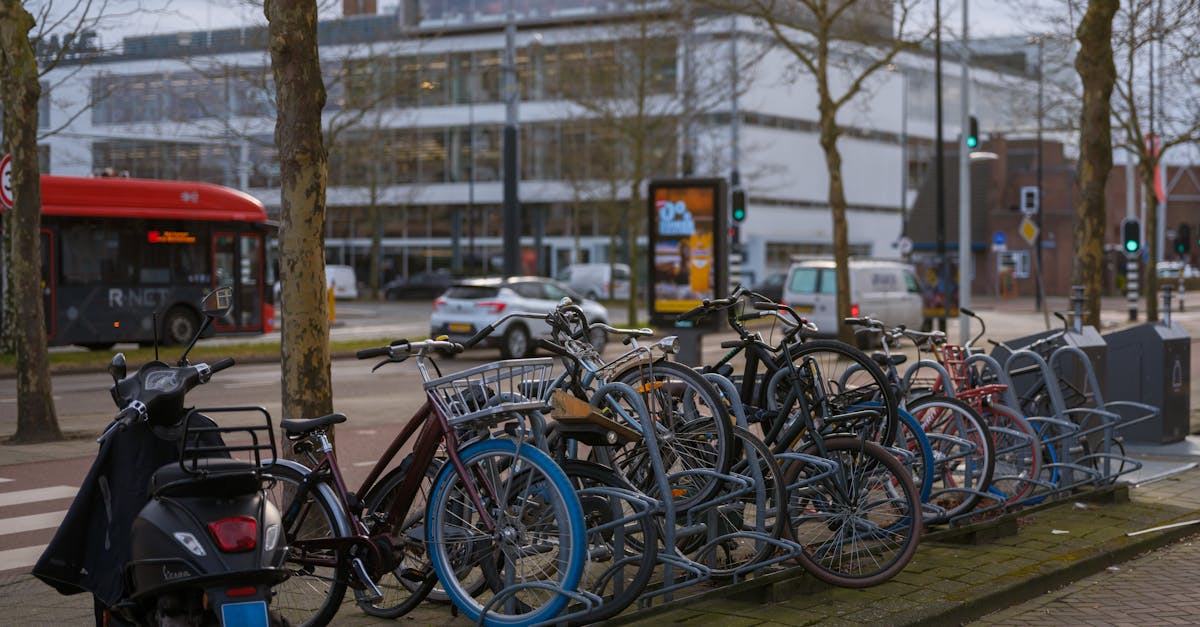 Common Mistakes in Dutch Writing and How to Avoid Them