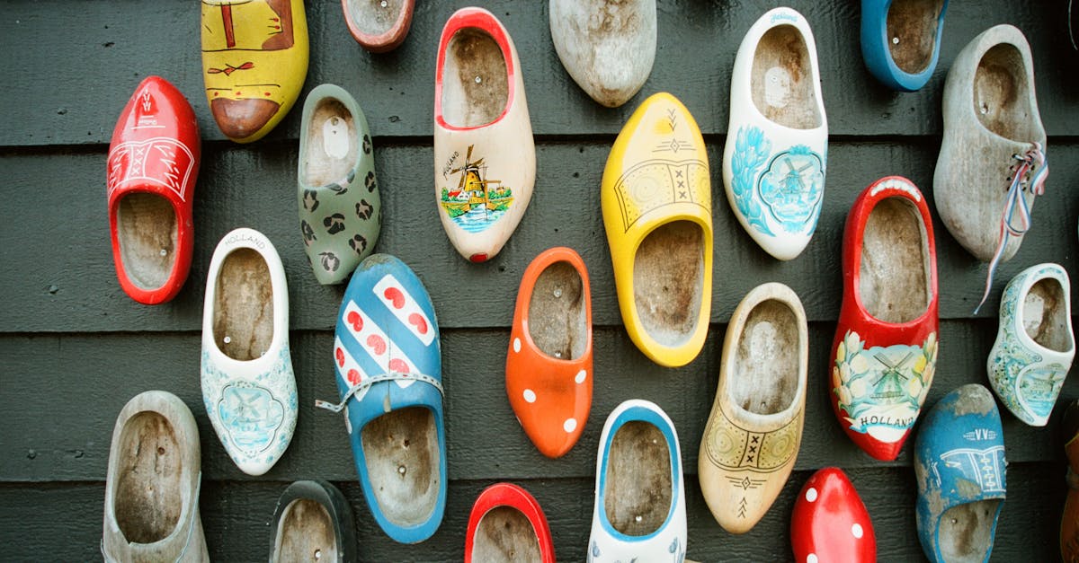 Common Verbs and Their Conjugations in Dutch
