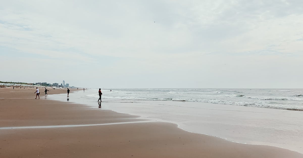 Comparing Dutch Language Apps: Which One Is Right for You?