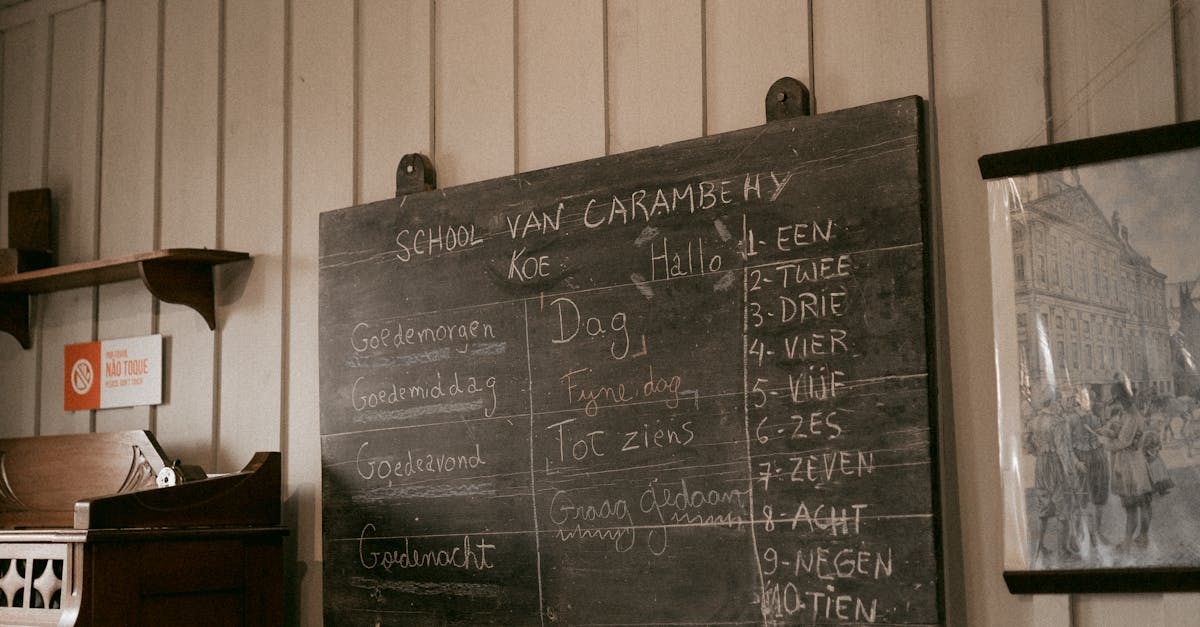 Comparing Dutch Language Courses: Top Online Providers