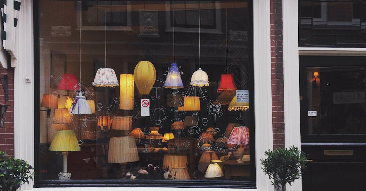 Comparing Local Language Programs for Dutch Learners in Haarlem