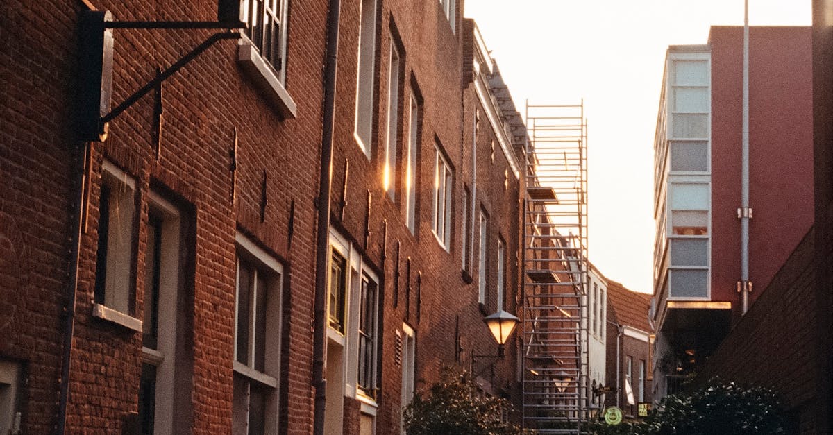Discovering the Historical Roots of Haarlem's Summer Carnival