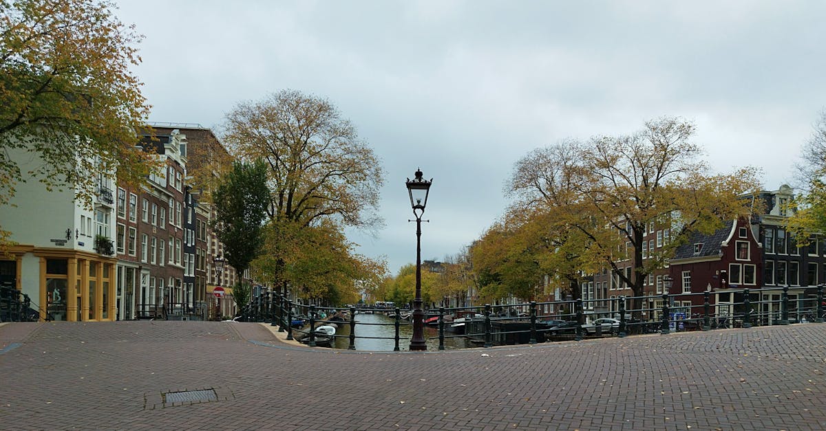 Discovering the Influence of the Dutch Golden Age on Modern Art