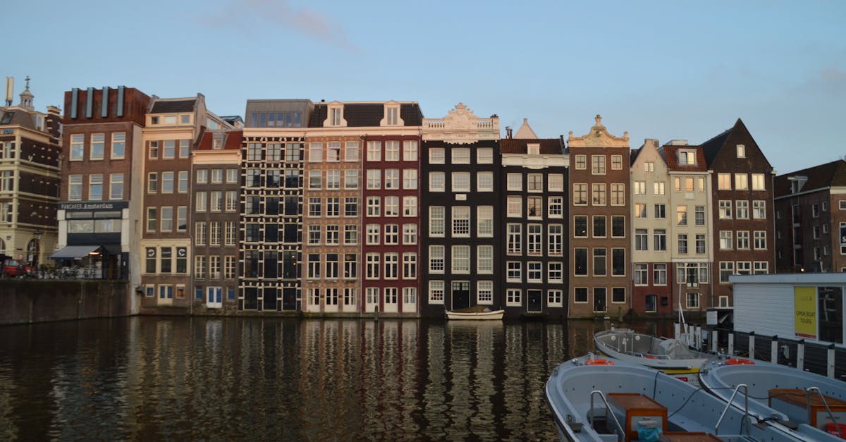 Dutch Language Reference Guides for Advanced Learners