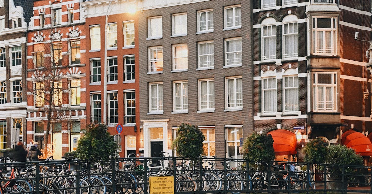 Exploring the Golden Age: The Art of Haarlem's Old Masters