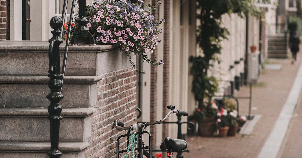 Exploring the Historical Landmarks of Haarlem