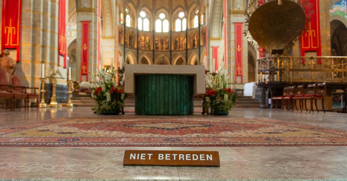 Exploring the Rich Traditions of Haarlem's Sinterklaas Celebration