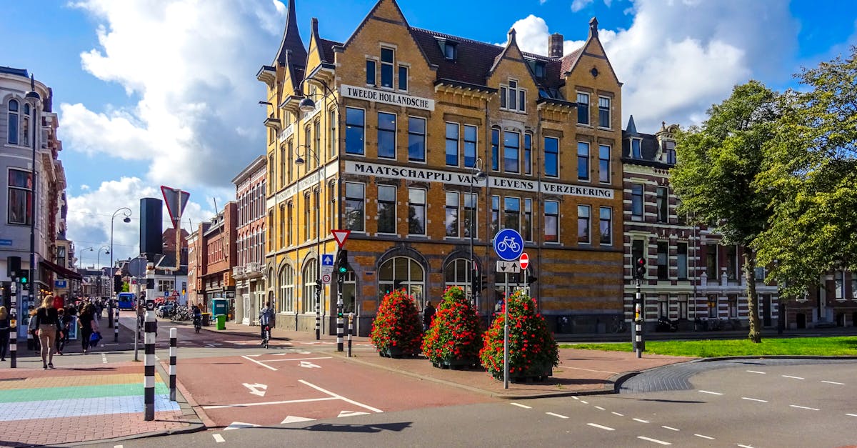 Features to Look for in Dutch Language Apps