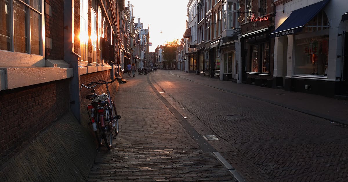 Formulating Questions in Dutch: Techniques and Exercises