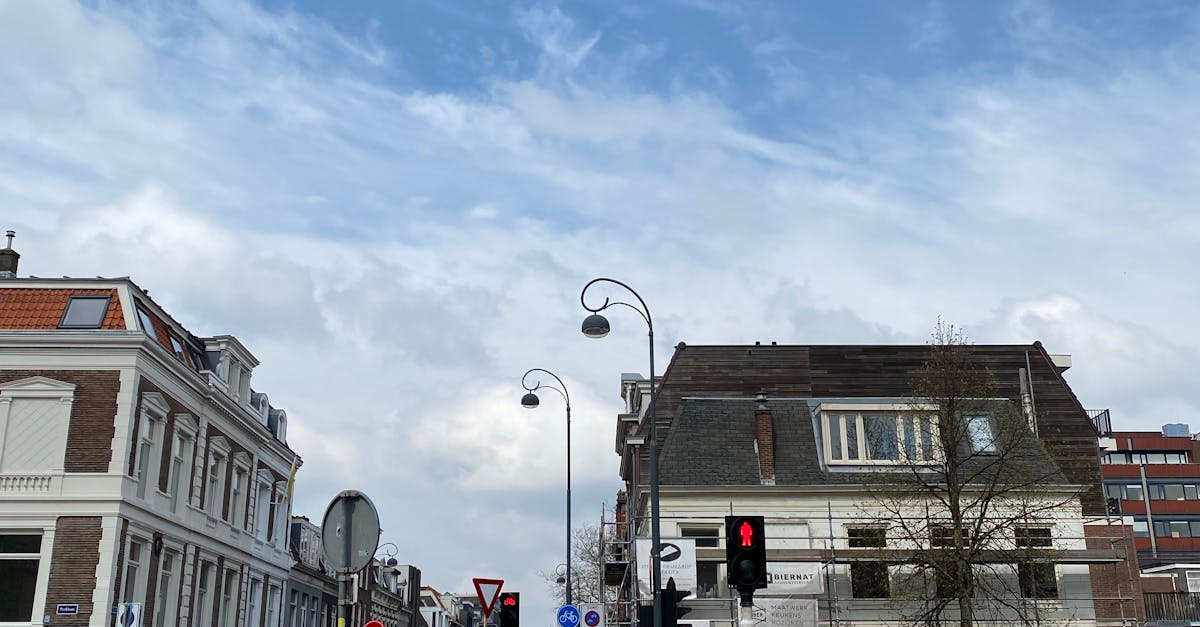 Gifting Customs and Etiquette in Haarlem
