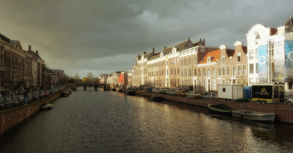 Greetings and Introductions: The Dutch Approach