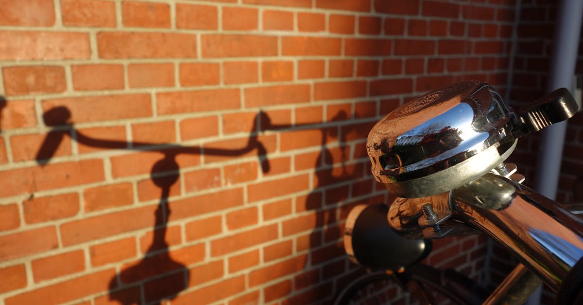 Haarlem's Culture Through the Lens of the Museum Night