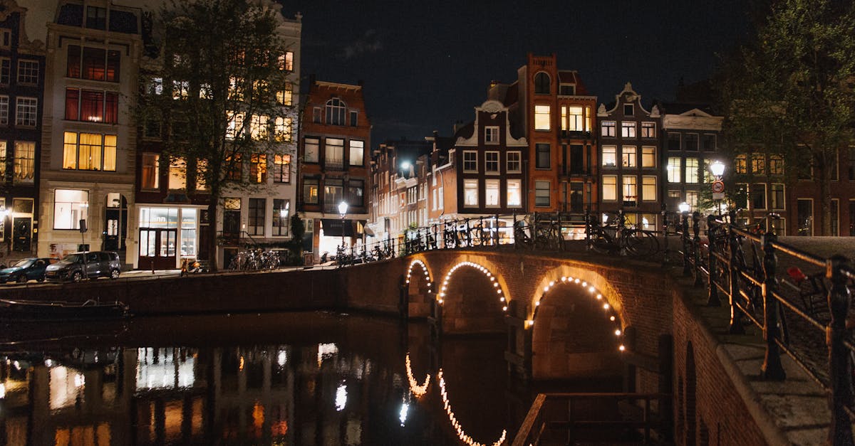 How to Choose the Right Language School in Haarlem