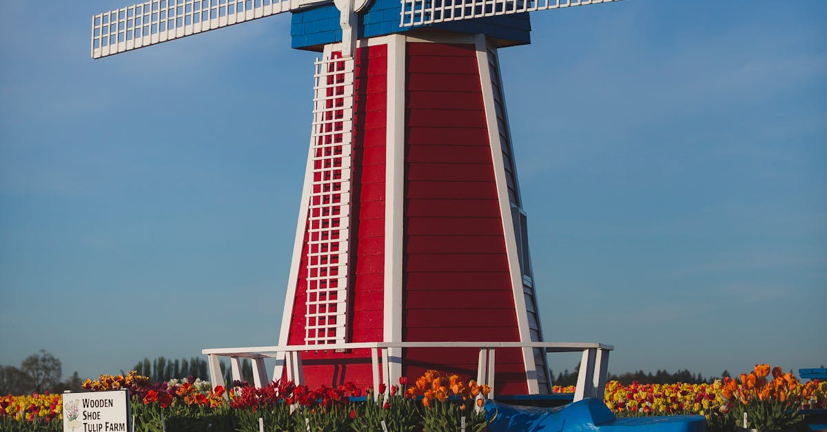 Learning Dutch Vocabulary with Mobile Applications
