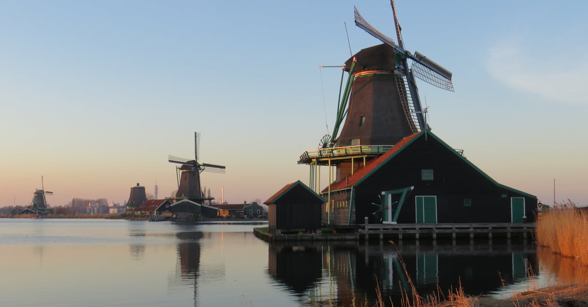 Mastering Gender and Articles in the Dutch Language