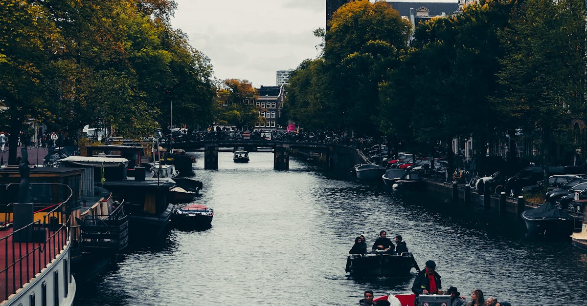 Must-Try Street Foods When Visiting Haarlem