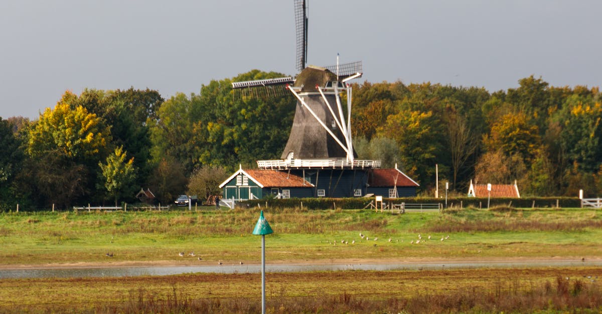 Personalized Learning: Finding the Right Dutch School in Haarlem