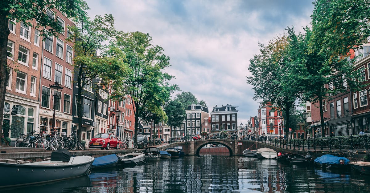 Popular Venues for Dutch Language Exchanges in Haarlem