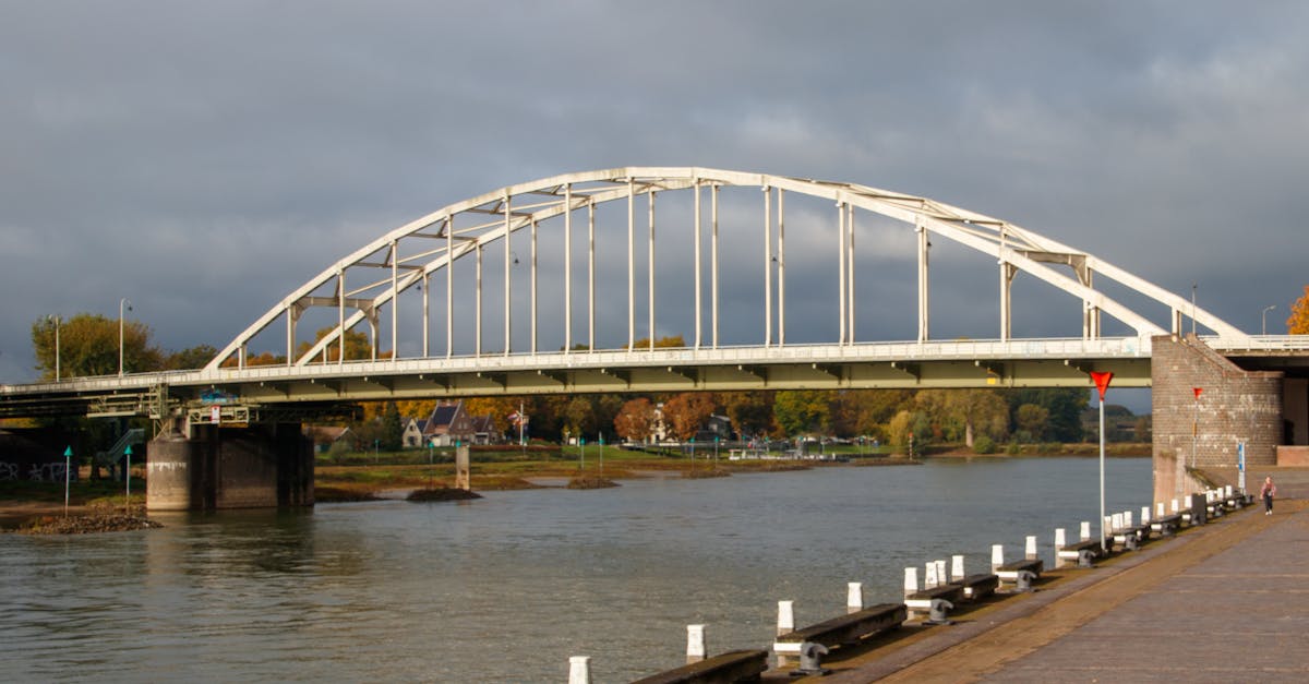 Portraits of the Past: Using Art to Understand Dutch History