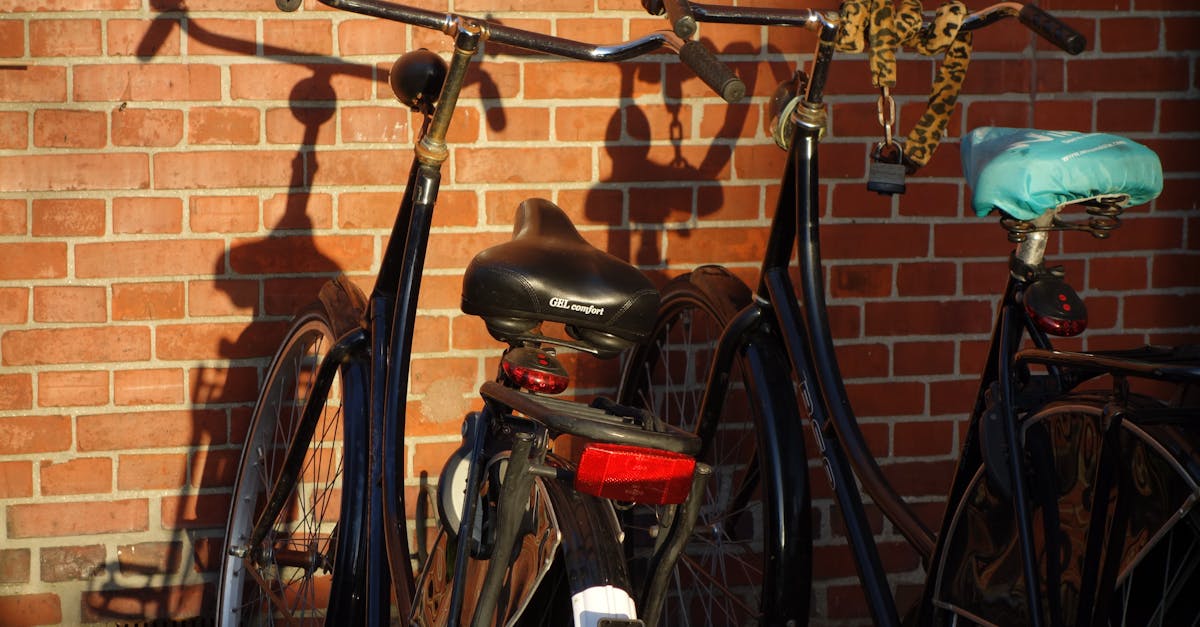 Practical Exercises for Mastering Dutch Vocabulary