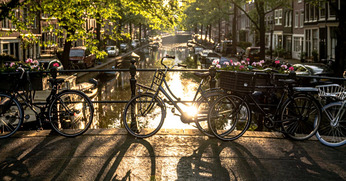 Preservation of Haarlem's Historical Architecture