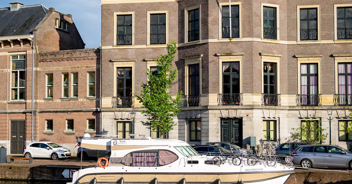 Sculptural Landmarks: Iconic Public Art in Haarlem