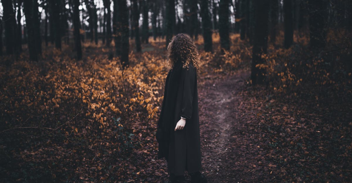 Seasonal Ingredients and Their Impact on Haarlem’s Menus