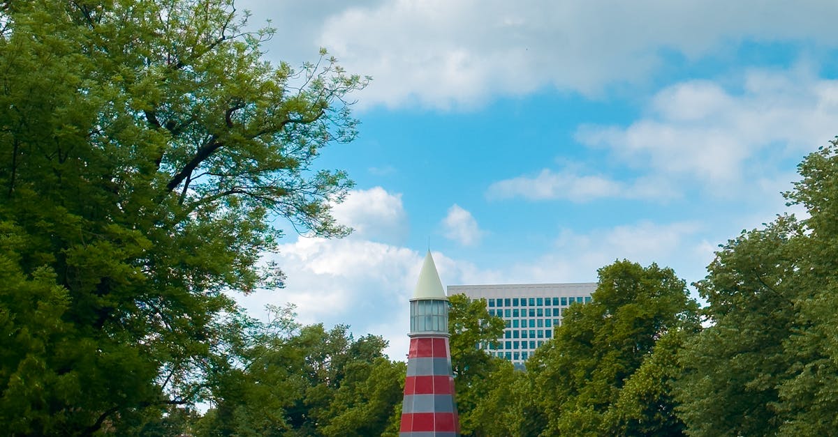 Strategies for Engaging in Dutch Conversations with Locals