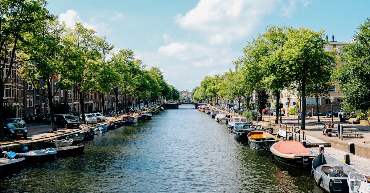 Student Reviews of Popular Online Dutch Course Platforms