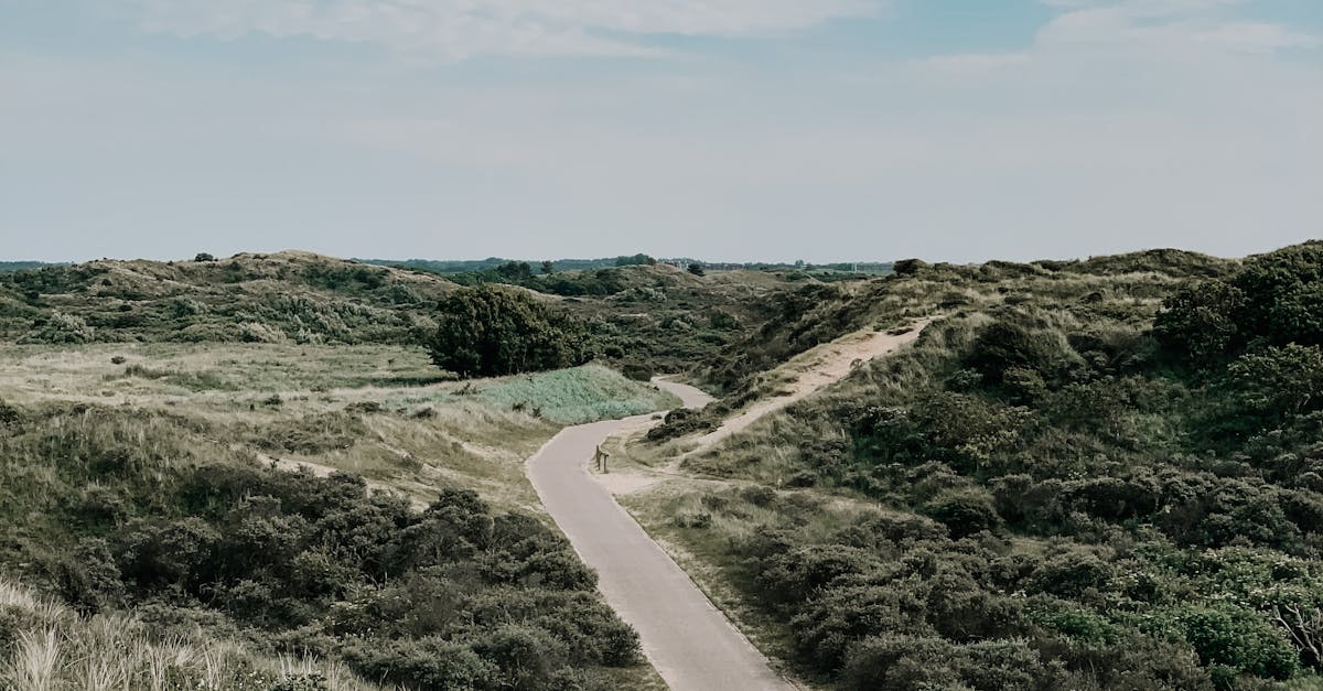 Techniques for Improving Your Dutch Writing Style