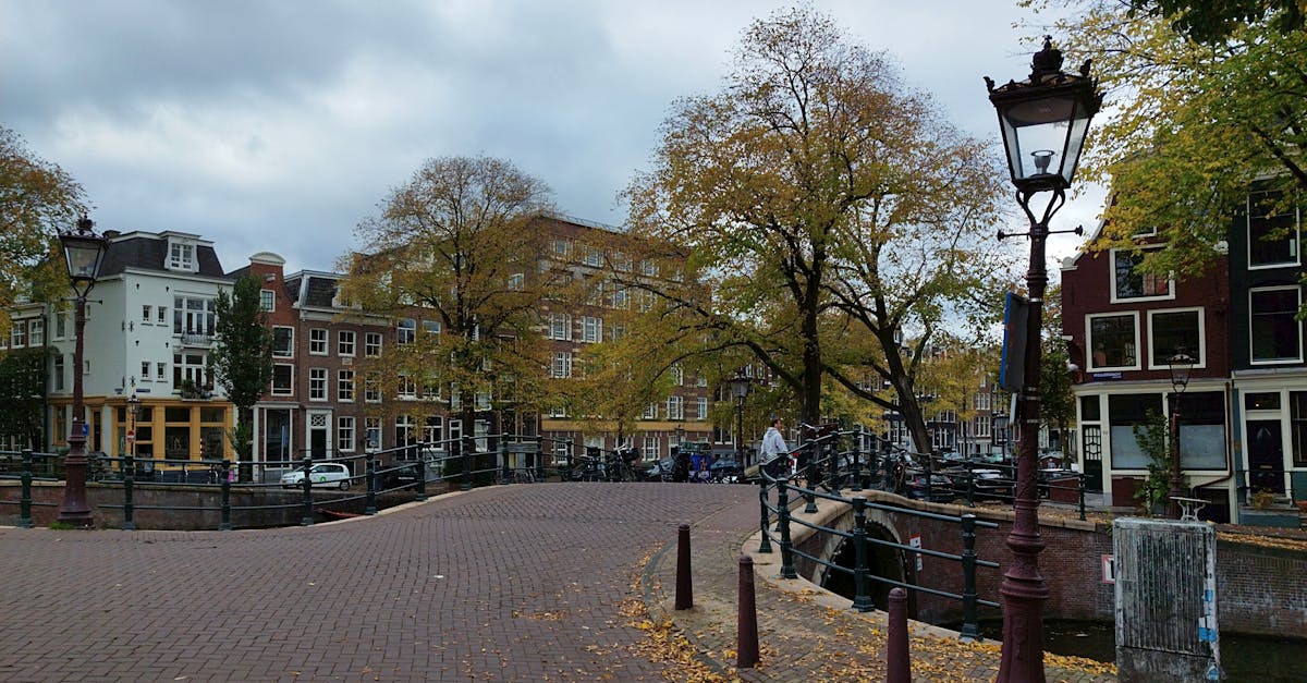 The Connection Between Dutch Literature and Historical Events