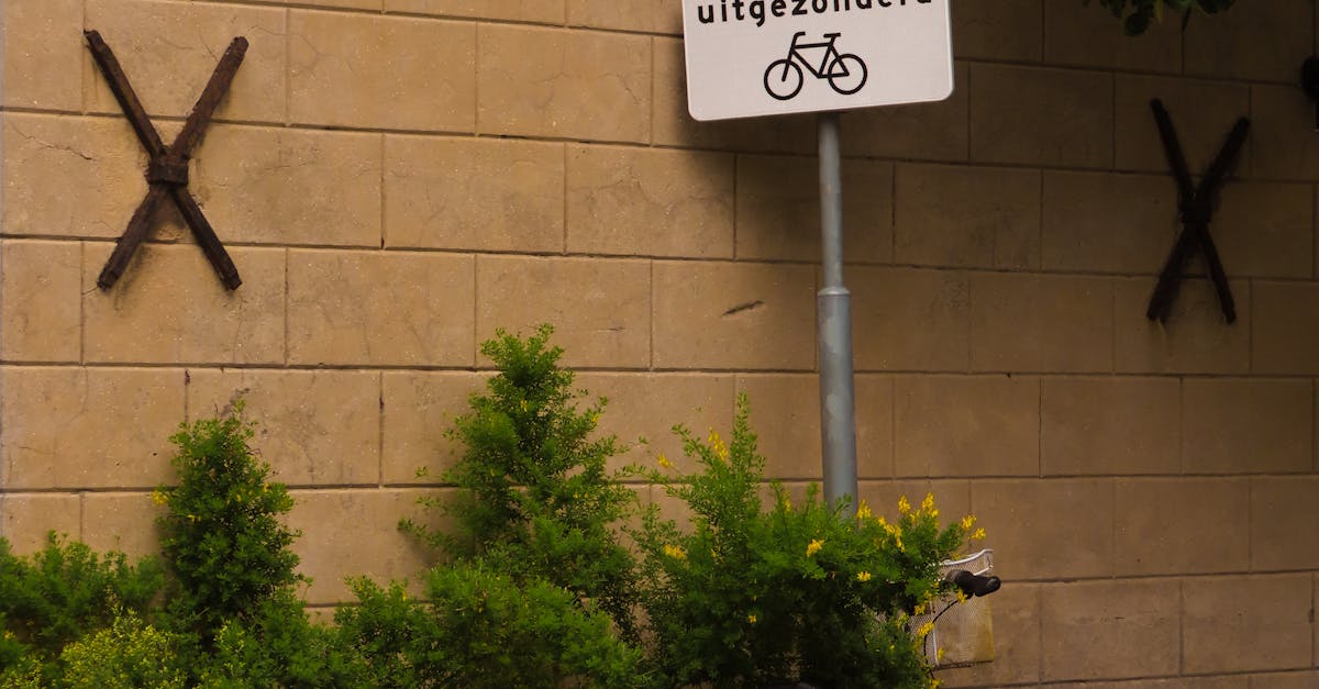 The Importance of Listening Exercises in Dutch Language Learning