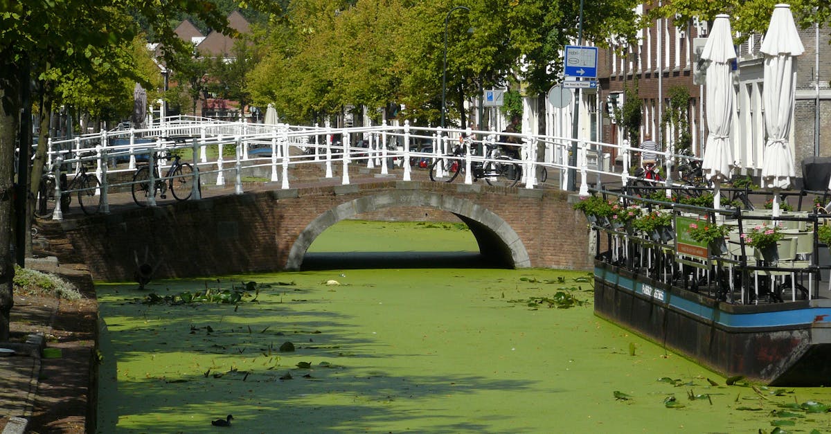 The Importance of Phonetics in Learning Dutch