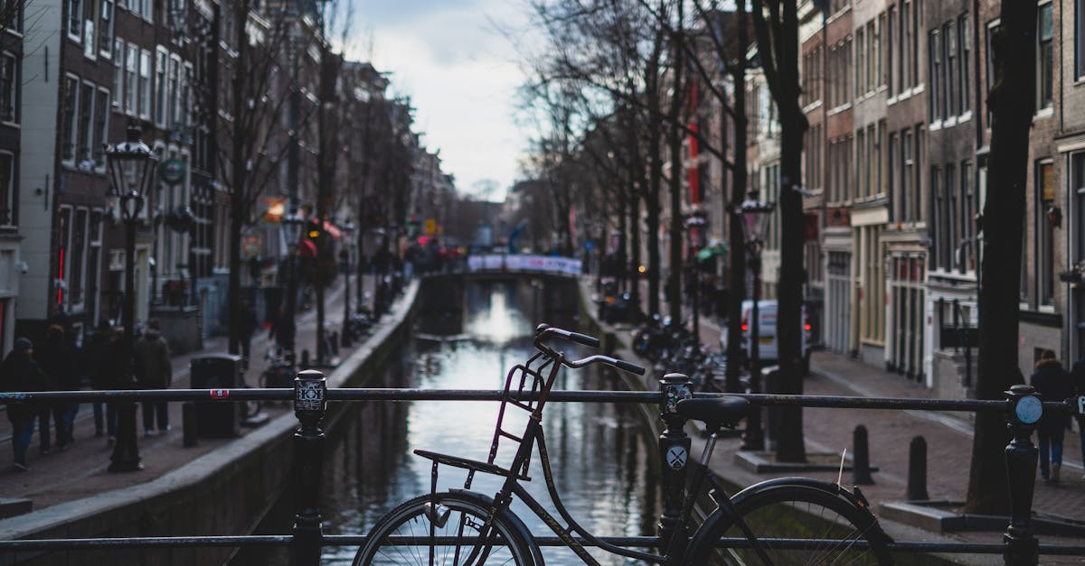 The Influence of Haarlem on Dutch Literature