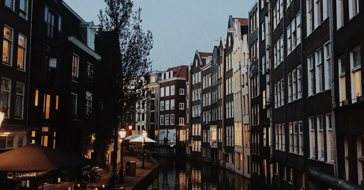The Legacy of Haarlem's Historical Trade Routes