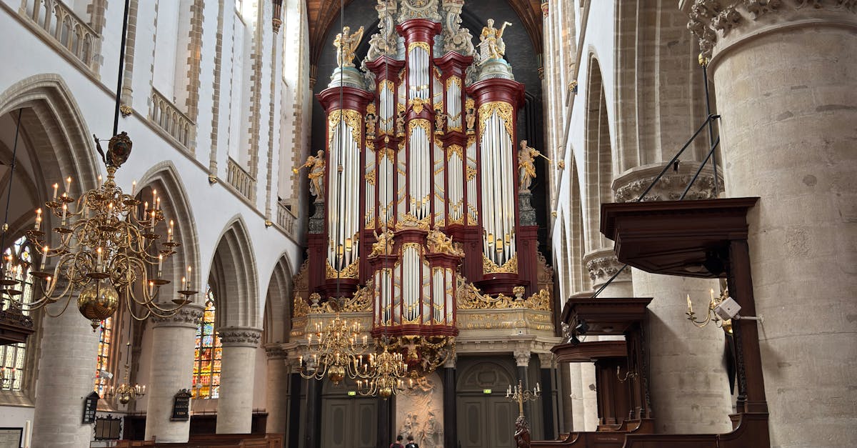 The Role of Articles in Dutch Grammar: Definite and Indefinite