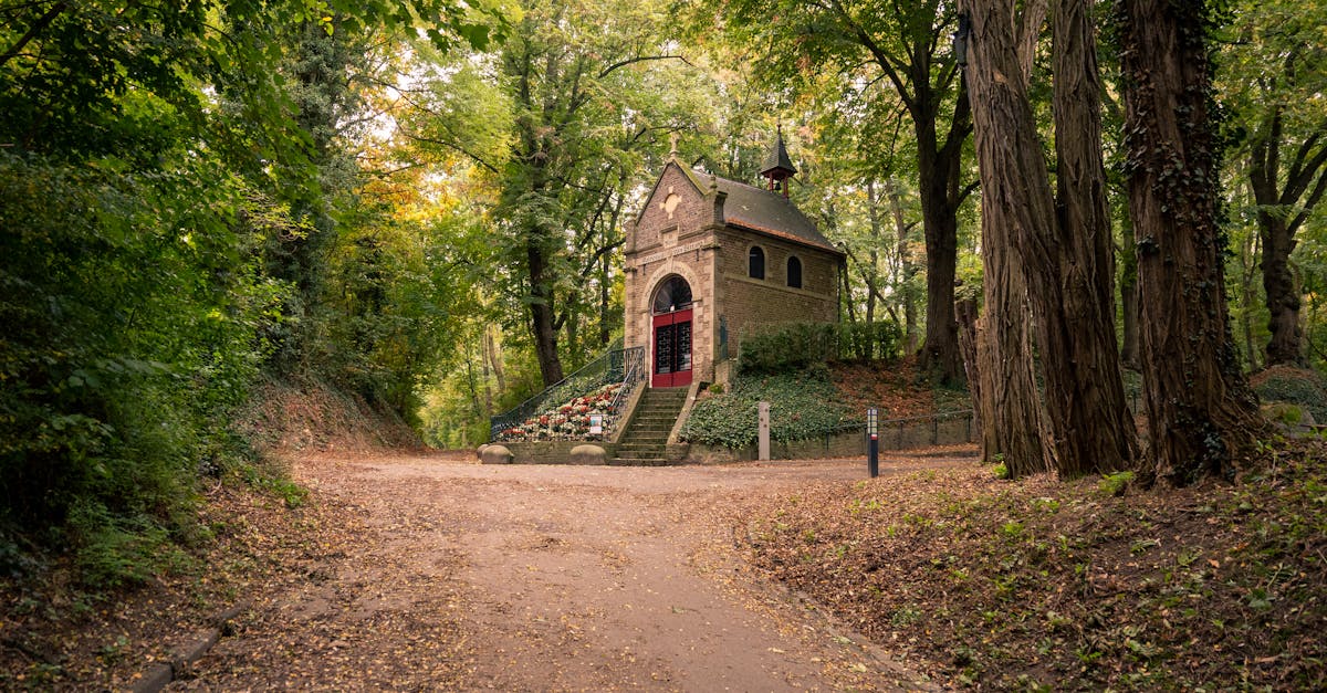 The Significance of King’s Day in Dutch Culture