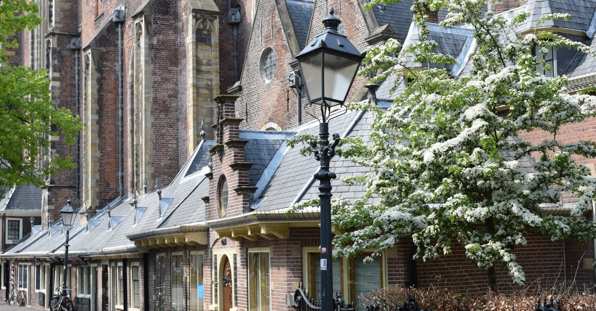 Thematic Vocabulary Lists for Daily Conversations in Haarlem