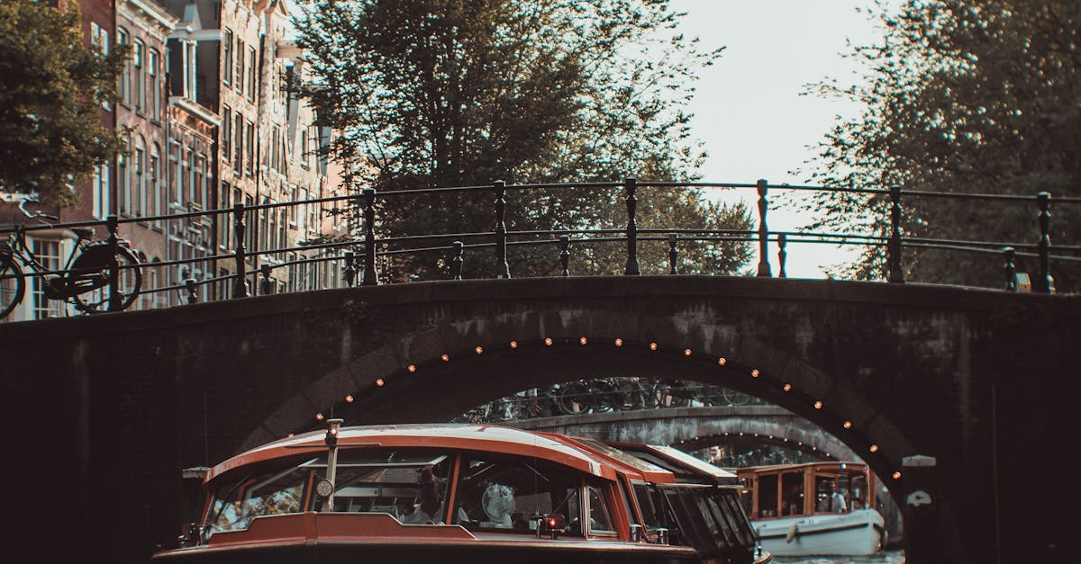 Top Dutch Grammar Guides for Language Learners