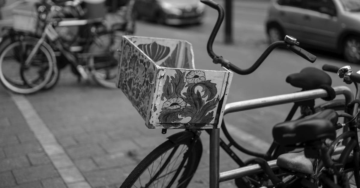 Traditional Haarlem Dishes You Must Try When Visiting