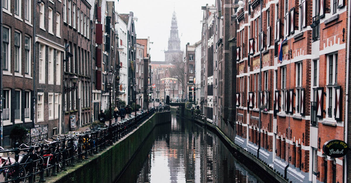 Understanding Dutch Directness in Communication