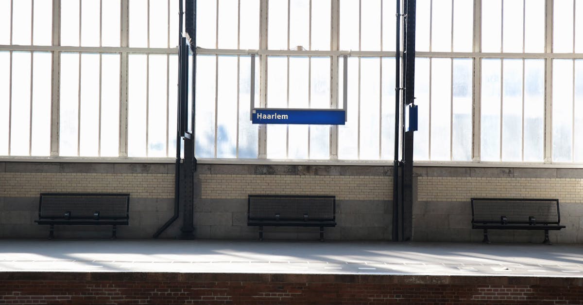 User Reviews: The Best Rated Dutch Language Apps for Haarlem Learners