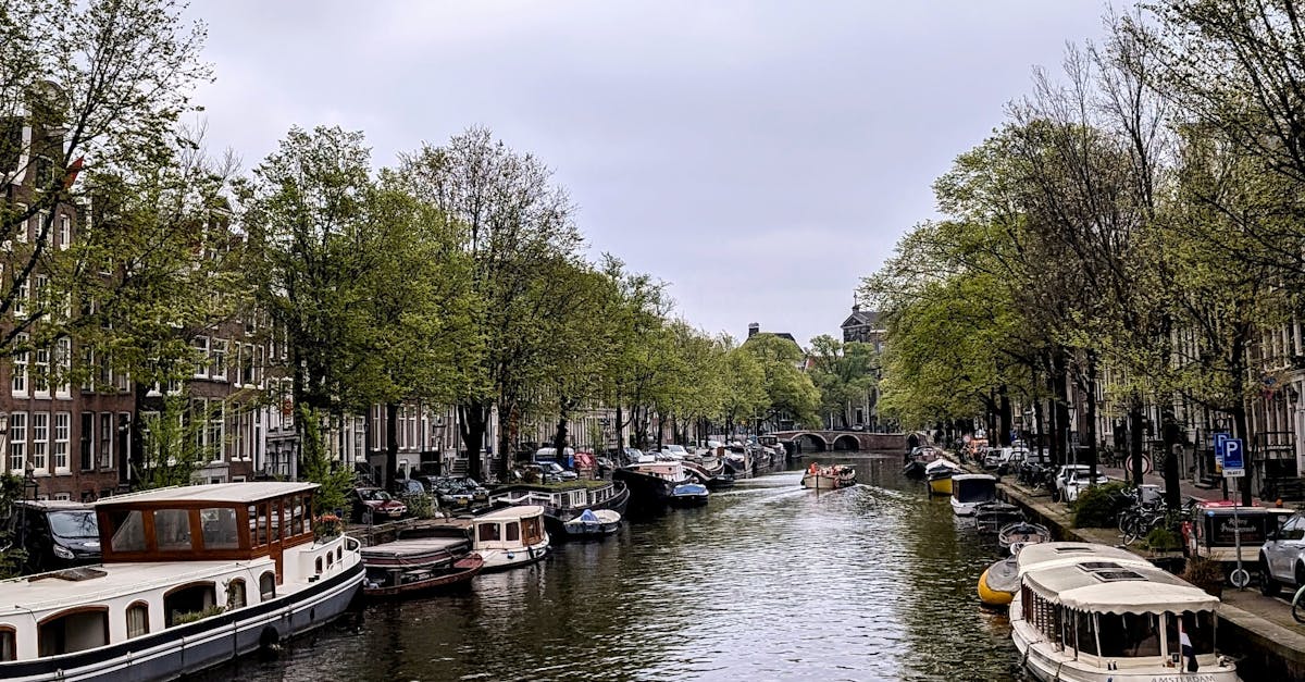 Vocabulary Tips for Navigating Dutch Markets in Haarlem