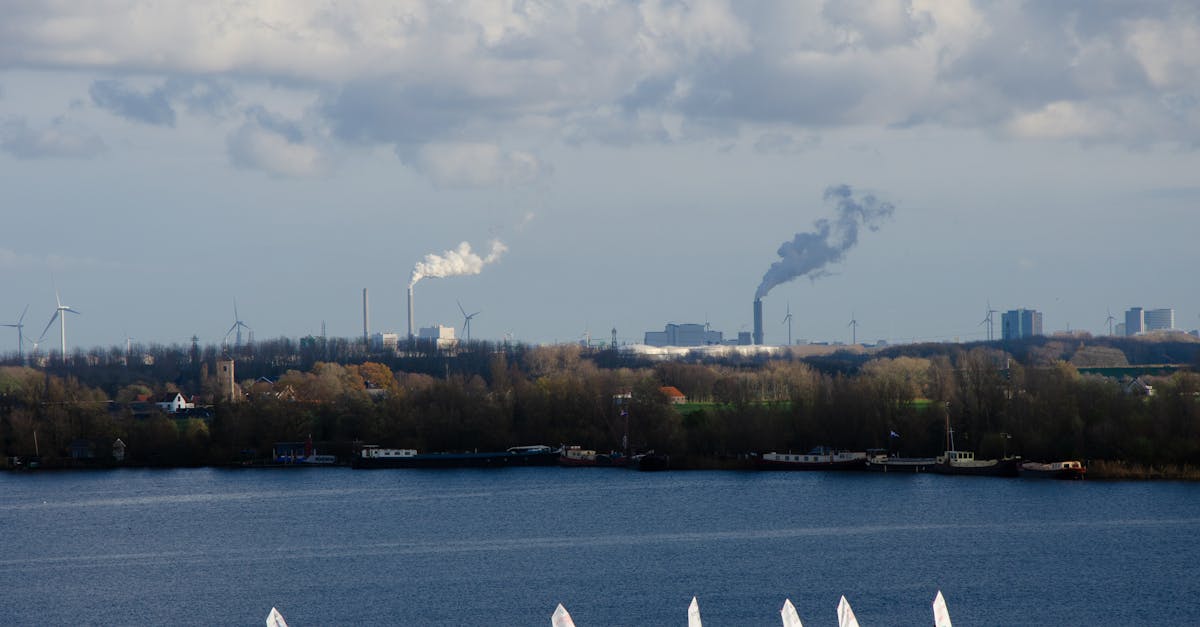 What to Expect from a Dutch Language Course in Haarlem